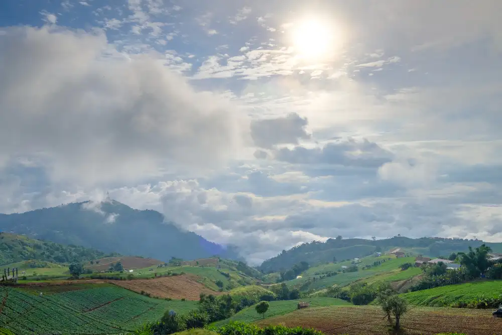 Clima soleado en campo