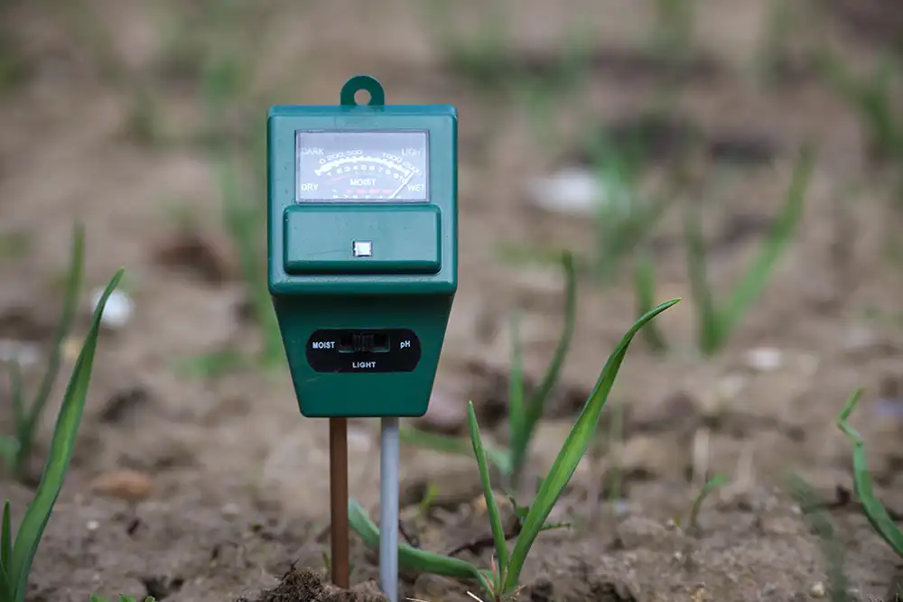 Sensor instalado en el campo